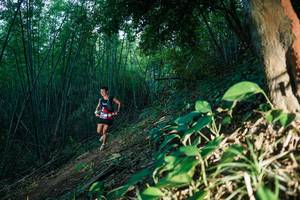 BIB: 
                            <button type="button" onclick="openModal(28124094)" class="btn btn-primary btn-sm float-right btn-popup" data-toggle="modal" data-target=".modal-high-quality">
                        <i class="fas fa-shopping-cart"></i> Add to Cart
                    </button>
                                            <button type="button" onclick="isThisMe(28124094, true)" class="btn btn-success btn-sm float-right btn-popup btn-isme hidden" data-toggle="tooltip" data-placement="bottom" title="นี่คือรูปของคุณใช่ไหม คลิกที่นี่เพื่อเอาเข้าอัลบั้ม">
                        <i class="fas fa-plus"></i> Add to album
                    </button>
                    <button type="button" onclick="isThisMe(28124094, false)" class="btn btn-warning btn-sm float-right btn-popup btn-isnotme hidden">
                        <i class="fas fa-ban"></i> Remove from album
                    </button>